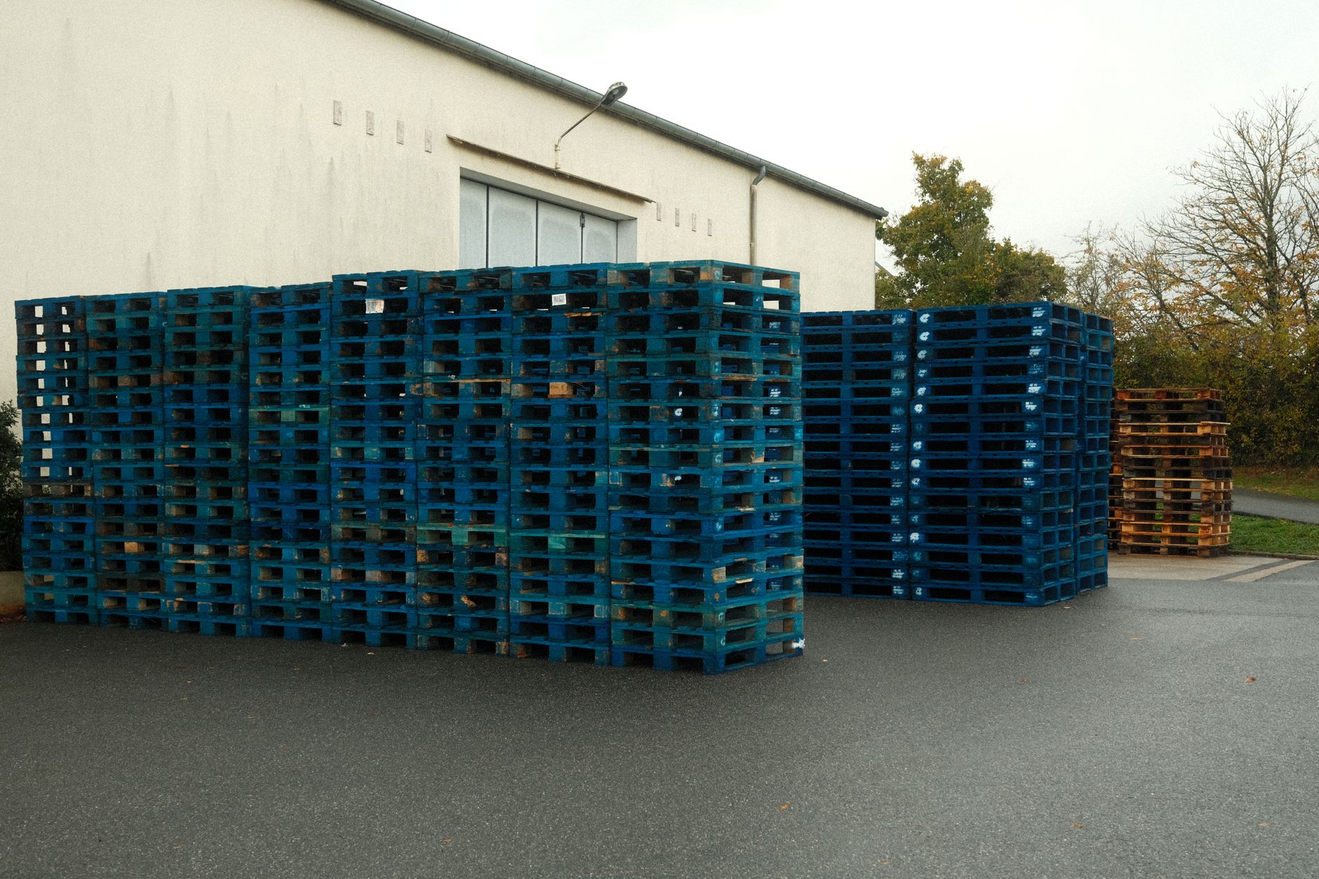 2025 Pallet Pooling Playbook: Slash Costs, Boost Sustainability
