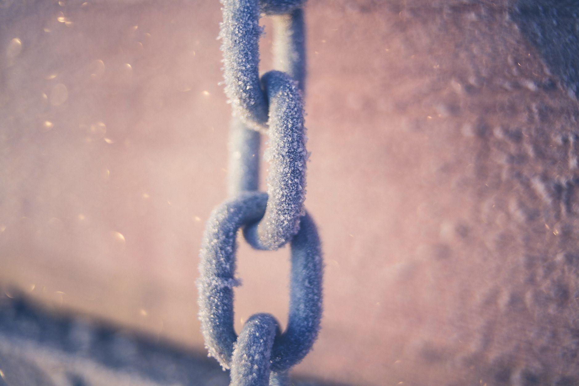 The 2025 Active vs Passive Cold Chain Playbook: Prevent Spoilage & Cut Costs
