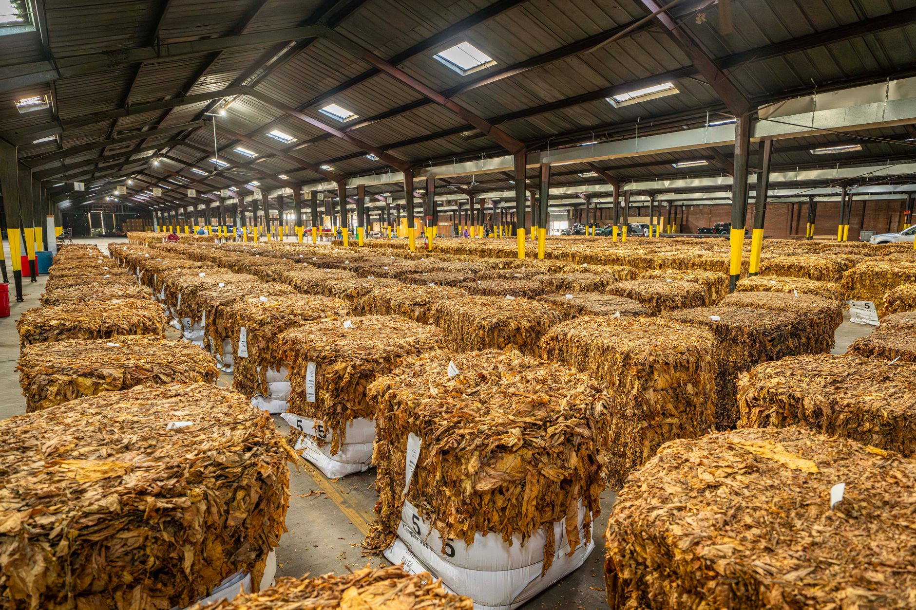 2025 Bulk Commodity Transportation Playbook: Maksimer udbytte