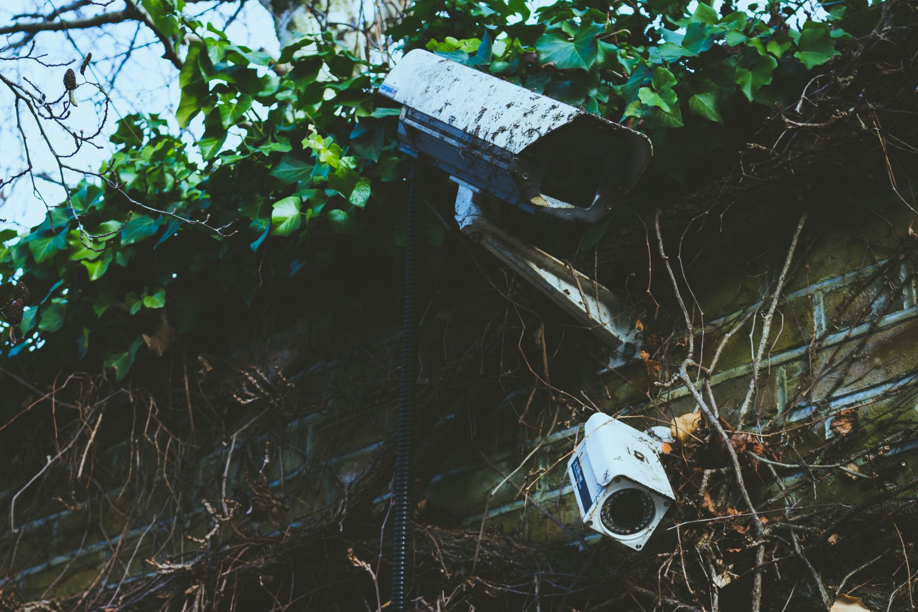 2025 Cargo Theft Claims Playbook: Prevent Loss & Maximize Recovery