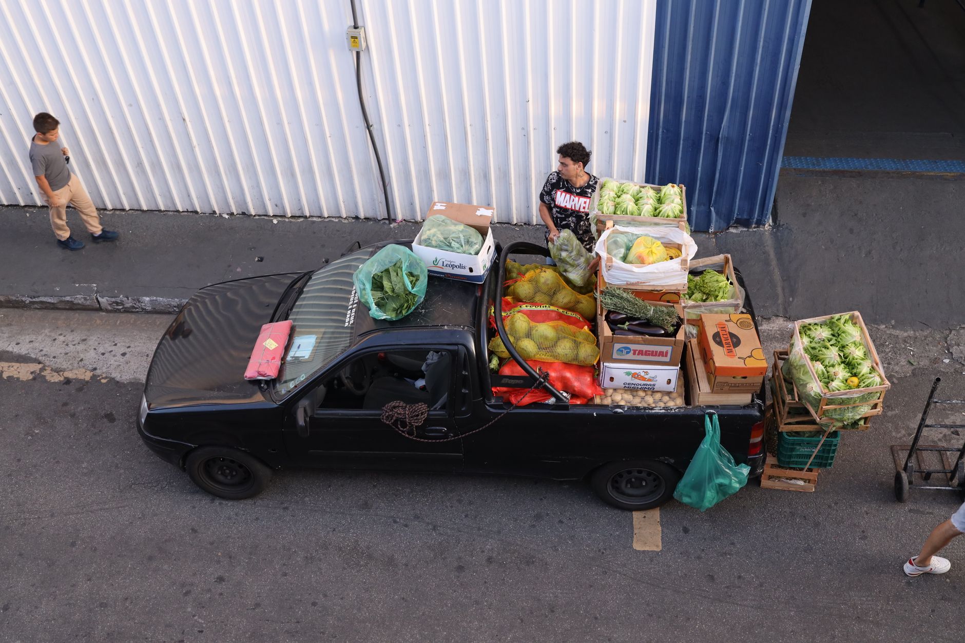 The 2025 Global Produce Logistics Playbook: Extend Shelf Life & Boost Profits