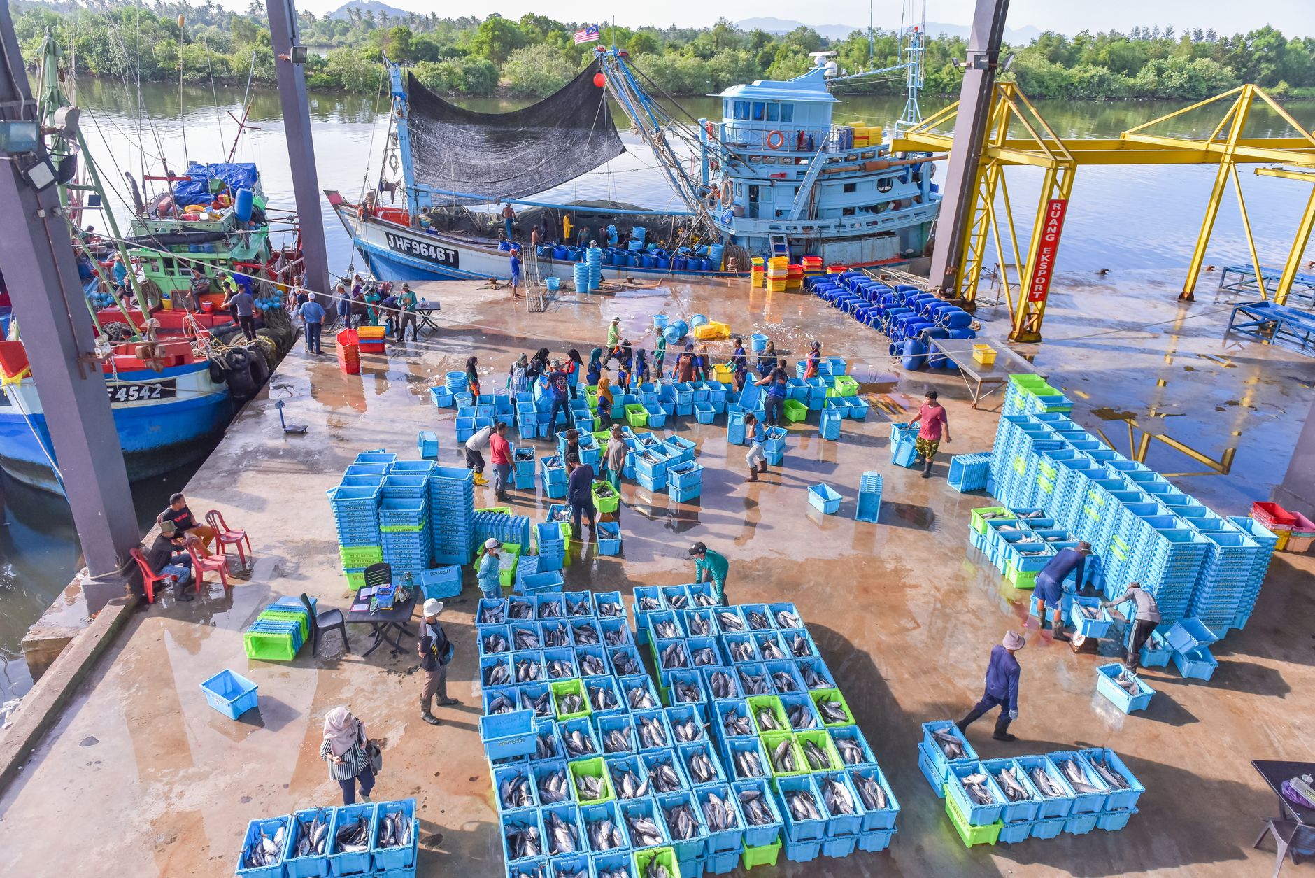 The 2025 Seafood Logistics Playbook: Maximize Freshness, Minimize Spoilage