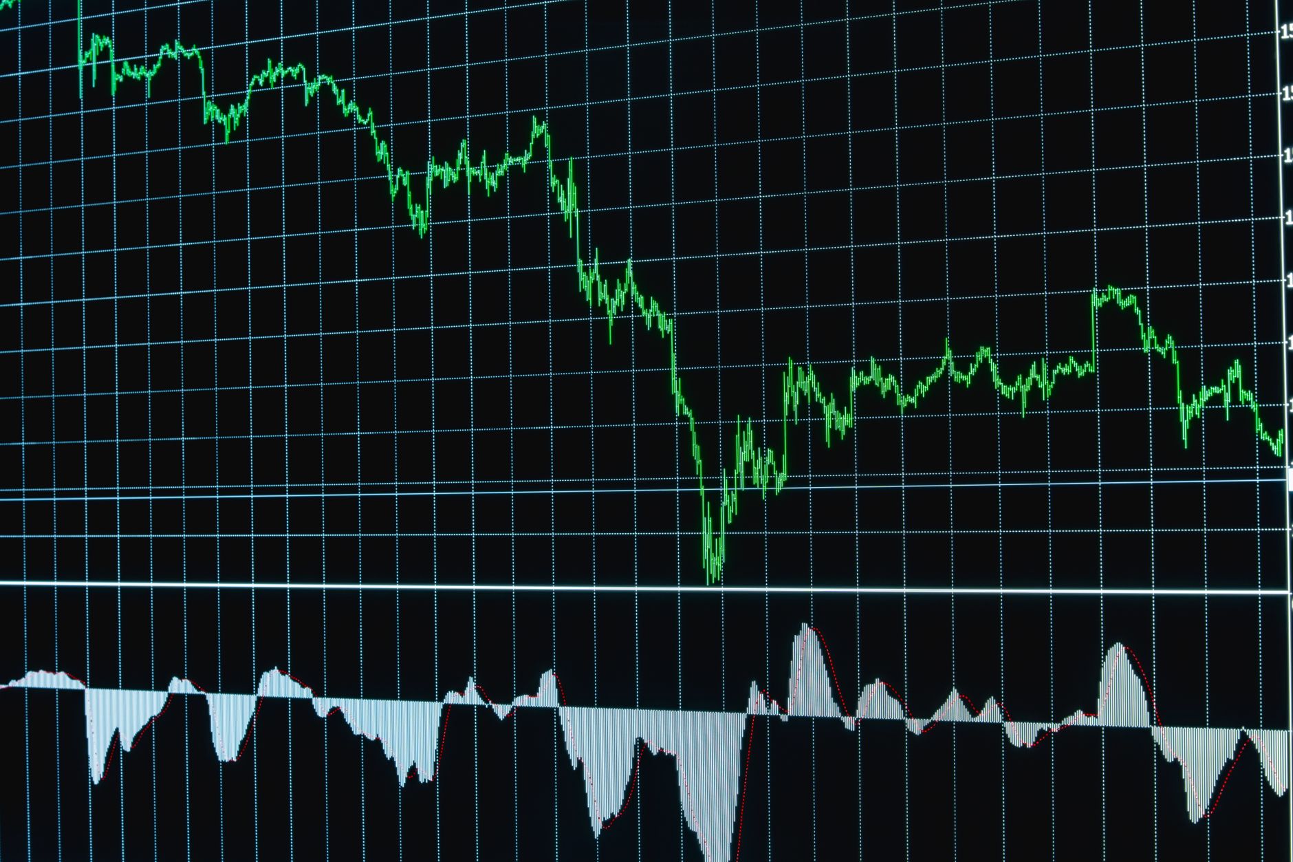 The 2025 Freight Market Downturn Playbook: Protect Profits & Grab Market Share
