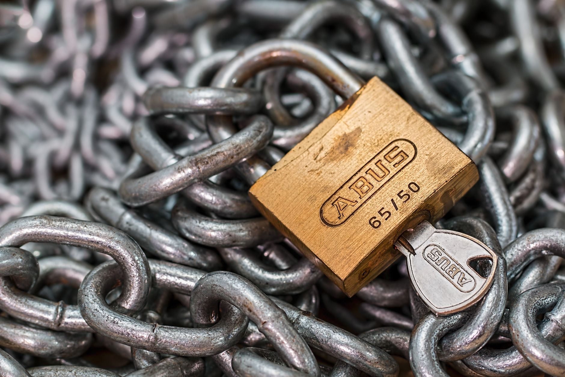 The 2025 Supply Chain Traceability Playbook: Boost Trust & Cut Costs
