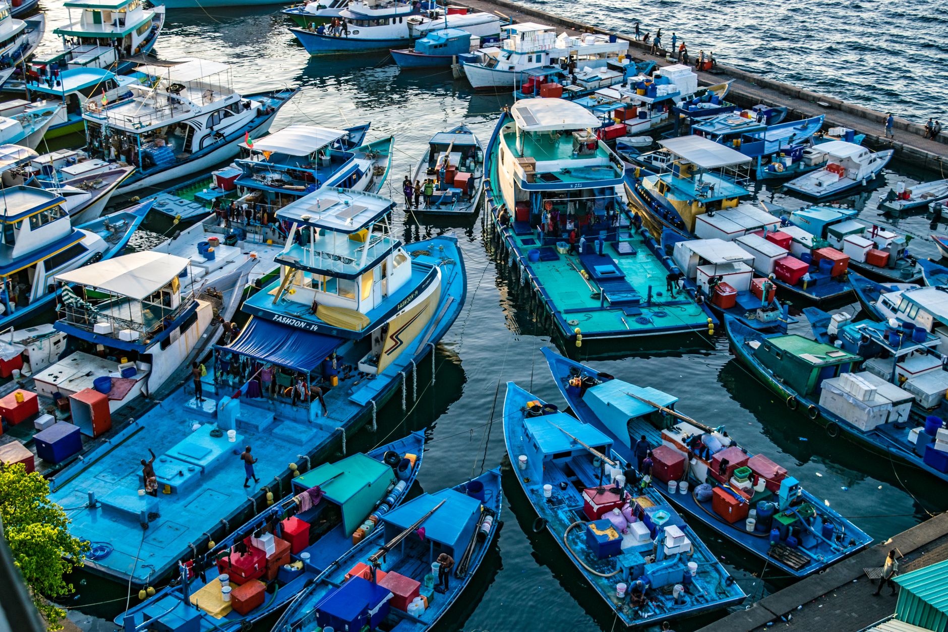 Port Congestion Prediction: Causes, Real Costs & the AI-Powered Fix