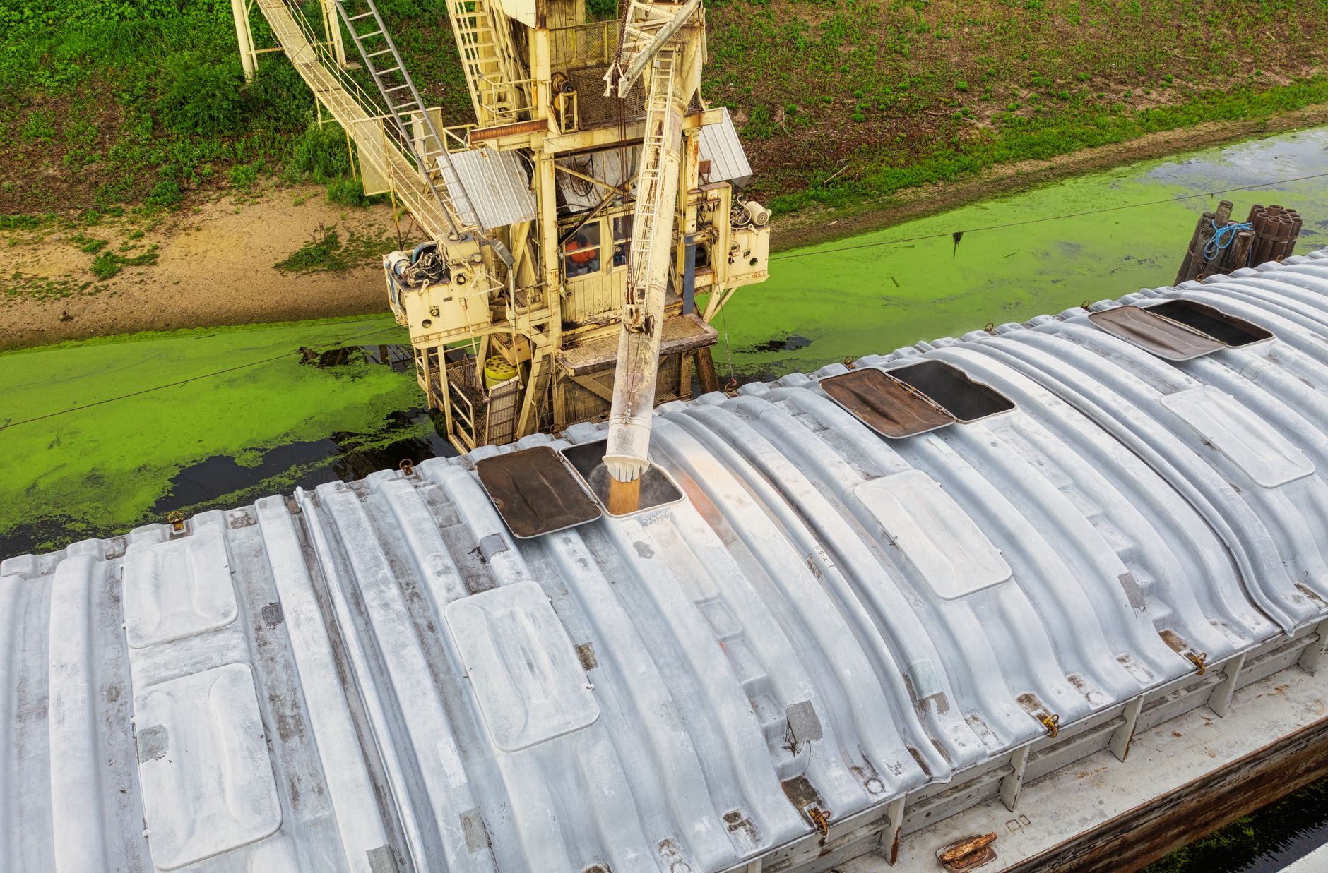 Grain Transportation Logistics: Spoilage, Costs & The Expert Fix